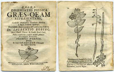 Dissertatio physica Græs-oeam repræsentans. A.a.