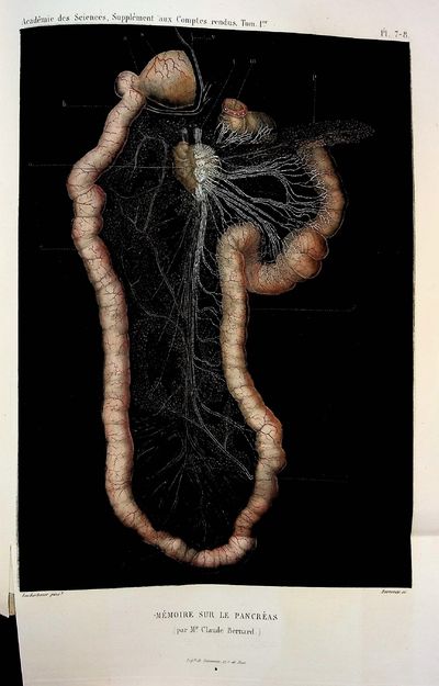 ONE OF 100 MOST FAMOUS MEDICAL BOOKS. Memoire sur le Pancreas et sur le role du suc pancreatique dans les phenomenes digestifs, particulierement dans la digestion des matieres grasses neutres (Claude Bernard)