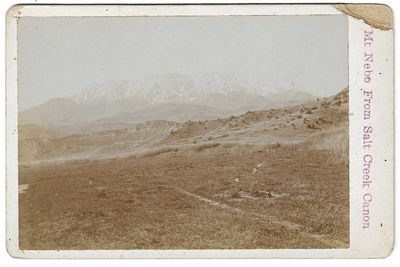 Mt. Nebo From Salt Creek Canon