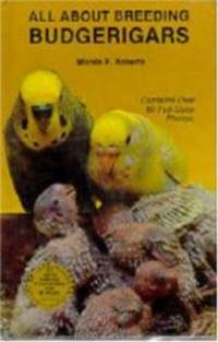 All about Breeding Budgerigars