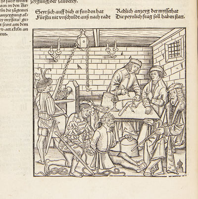 Bambergische halszgerichts Ordenung