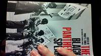 Black Panthers Speak