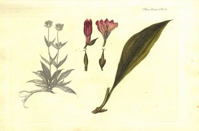 Plansje L fra Flora Danica. Første hefte.