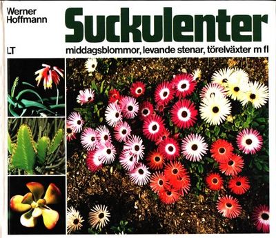 Suckulenter. Middagsblommor, levande stenar,…