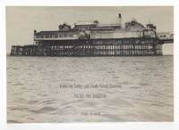 PALACE PIER BRIGHTON.