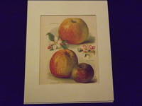 The Fruit Grower's Guide: Apples.