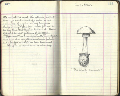 ECHO Mushroom Plant. Troy, N.Y.