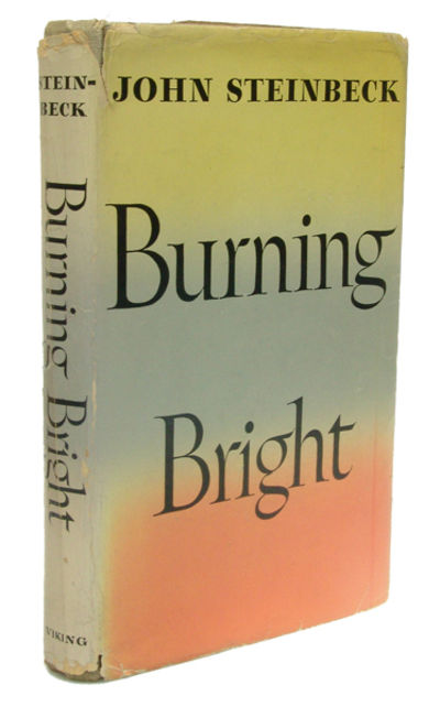 Burning Bright. A Play in Story Form.