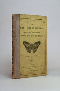 image of The Insect Hunter's Companion: Instructions For Collecting Butterflies, Moths, Beetles, Bees, Flies, Etc