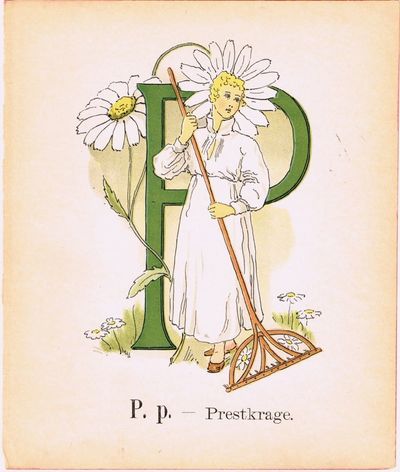 Prinsarnes Blomsteralfabet. P. p. – Prestkrage.