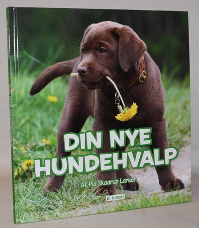 Den nye hundehvalp.