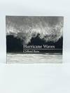 Hurricane Waves