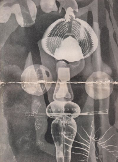 Imaginisterna C.O.Hultén, Gösta Kriland, Anders…