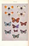 Butterflies. New Naturalist No 1