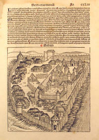 image of Liber chronicarum- Nuremberg Chronicle, an individual page from the Chronicle featuring Sabatz, the Turkish fortress, Plate No. CCLIII