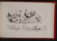 Thumbnail 23