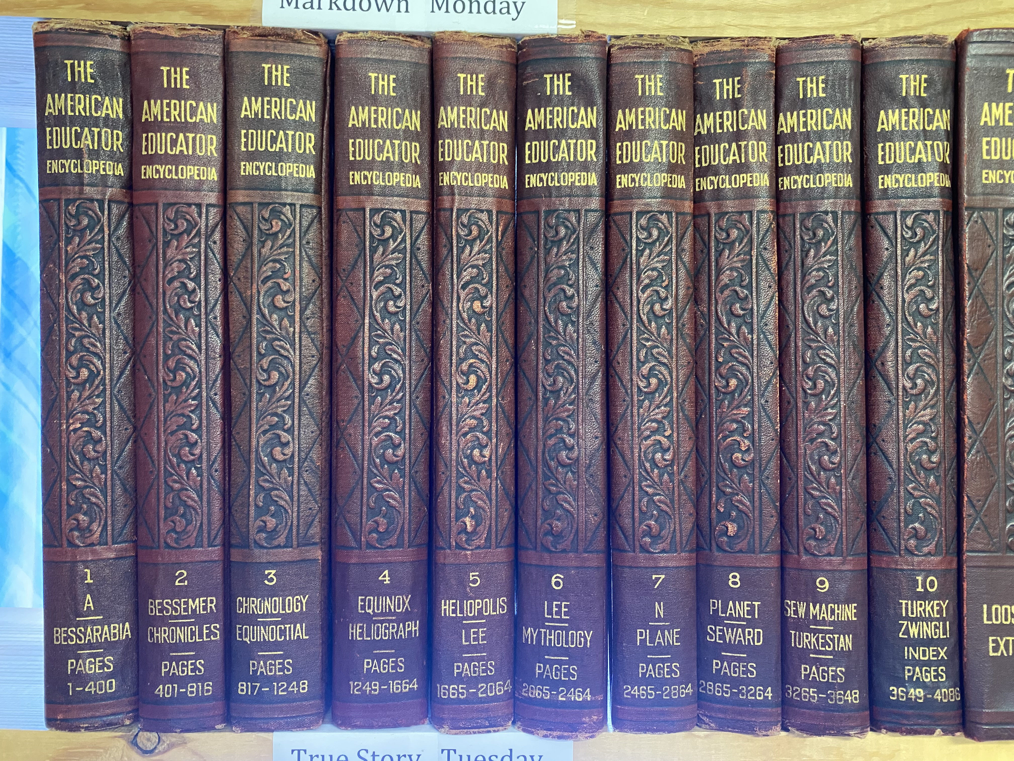 18 Volume Set: The American Educator Encyclopedia 10 Volumes