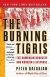 The Burning Tigris
