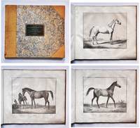 Abbildungen Königlich Württembergischer Gestütts Pferde von orientalischen Racen.