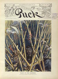 Puck Magazine Cover "Teddy's In The Canebreak". October 16, 1907