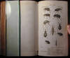 Considerations generales sur la classe des insectes
