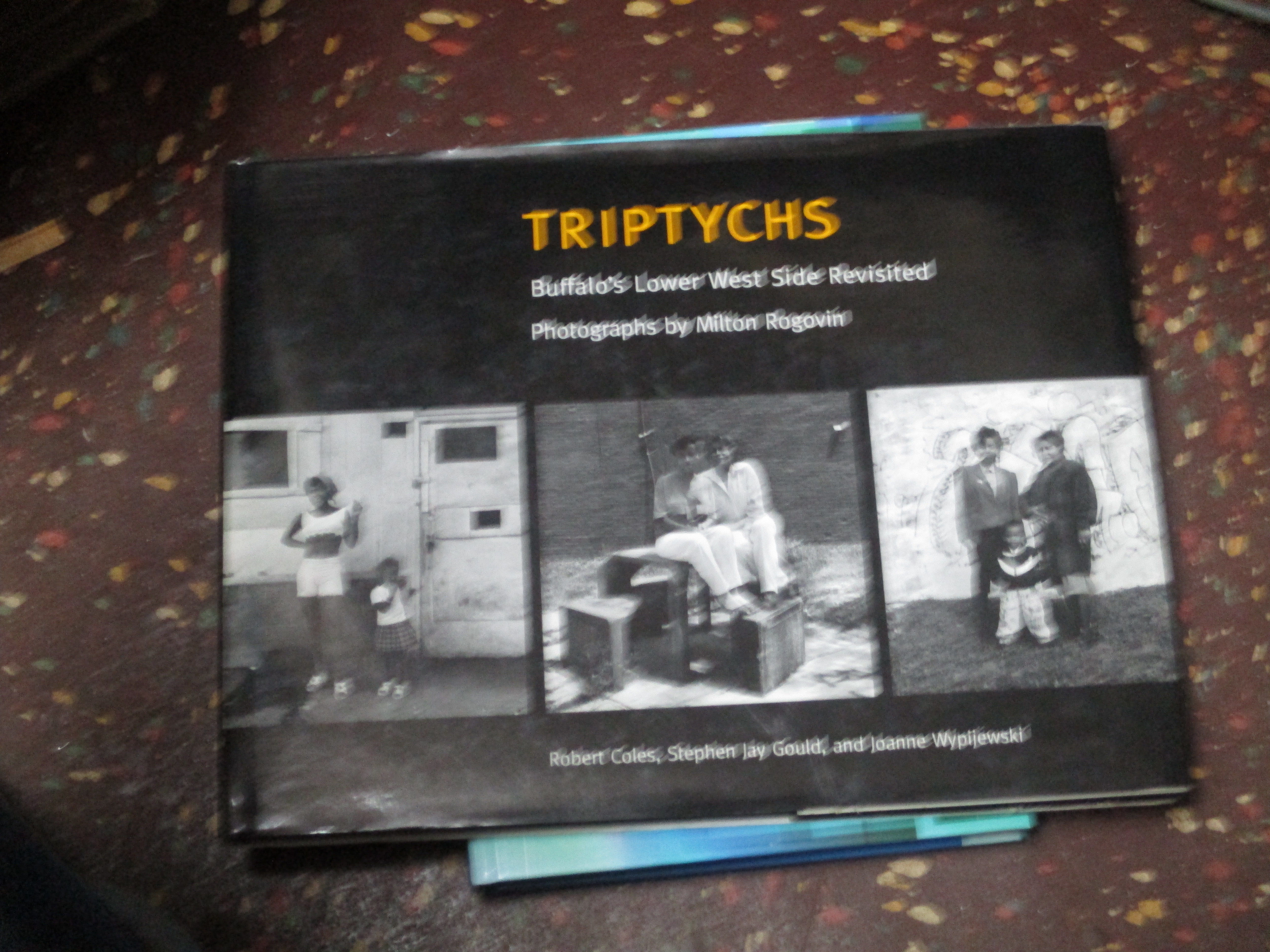 Triptychs: Buffalo's Lower West Side Revisited by Joann Wypijewski