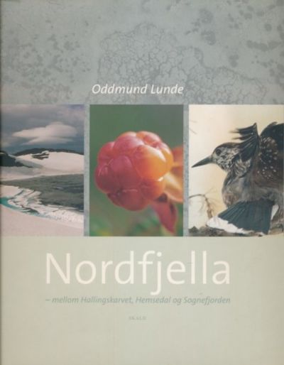 Nordfjella. - mellom Hallingskarvet, Hemsedal og…