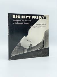 Big City Primer: Reading New York at the End of the Twentieth Century