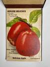 [NURSERYMAN'S GUIDE / AMERICAN CHROMOLITHOGRAPHY]. [Nurseryman's Guide and Sample Book of Fruit Seeds / Catalogue of Trees, Ornamental Ivy and Hedges]