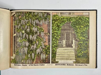 [NURSERYMAN'S GUIDE / AMERICAN...; (photo 11)