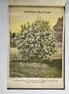 [NURSERYMAN'S GUIDE / AMERICAN...; (photo 12)