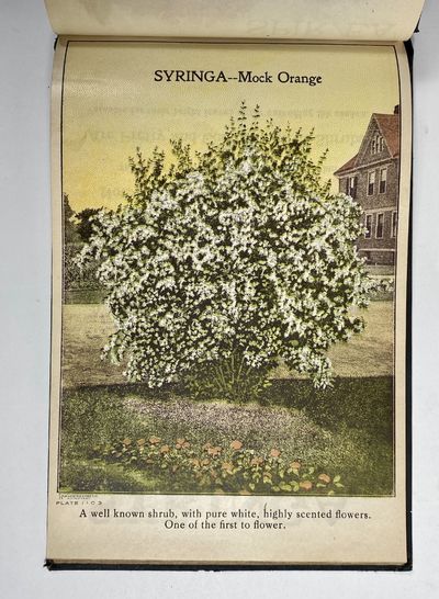 [NURSERYMAN'S GUIDE / AMERICAN...; (photo 12)