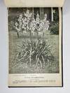[NURSERYMAN'S GUIDE / AMERICAN...; (photo 13)