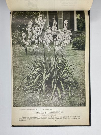[NURSERYMAN'S GUIDE / AMERICAN...; (photo 13)
