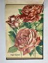 [NURSERYMAN'S GUIDE / AMERICAN...; (photo 16)