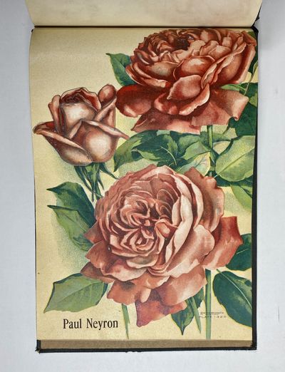 [NURSERYMAN'S GUIDE / AMERICAN...; (photo 16)