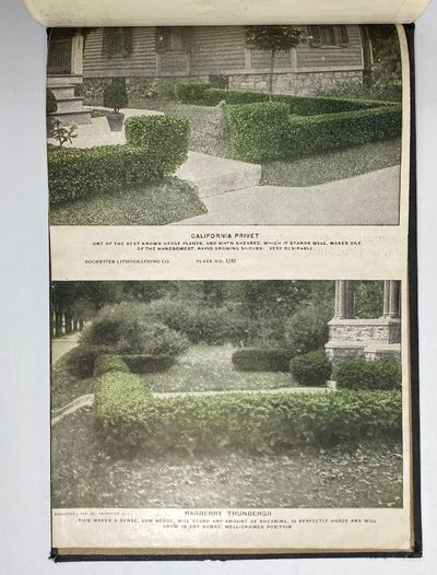 [NURSERYMAN'S GUIDE / AMERICAN...; (photo 17)
