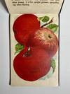 [NURSERYMAN'S GUIDE / AMERICAN...; (photo 2)