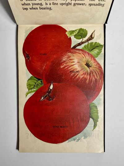 [NURSERYMAN'S GUIDE / AMERICAN...; (photo 2)
