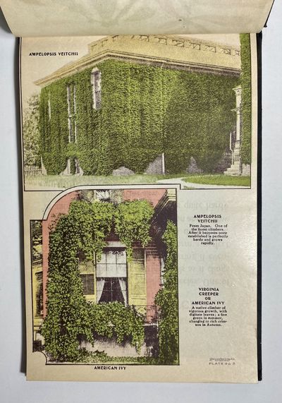 [NURSERYMAN'S GUIDE / AMERICAN...; (photo 4)