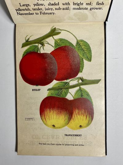 [NURSERYMAN'S GUIDE / AMERICAN...; (photo 5)