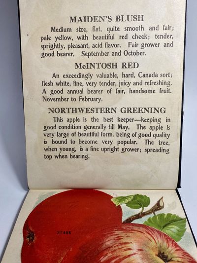 [NURSERYMAN'S GUIDE / AMERICAN...; (photo 7)