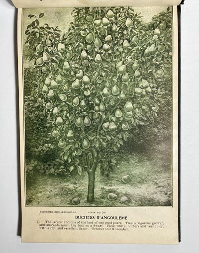 [NURSERYMAN'S GUIDE / AMERICAN...; (photo 8)