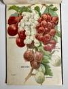 [NURSERYMAN'S GUIDE / AMERICAN...; (photo 9)