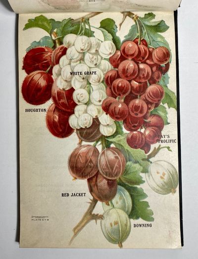 [NURSERYMAN'S GUIDE / AMERICAN...; (photo 9)