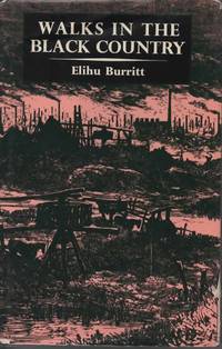 A VERY Brief History of Britain (Walking through the Past Book 0)