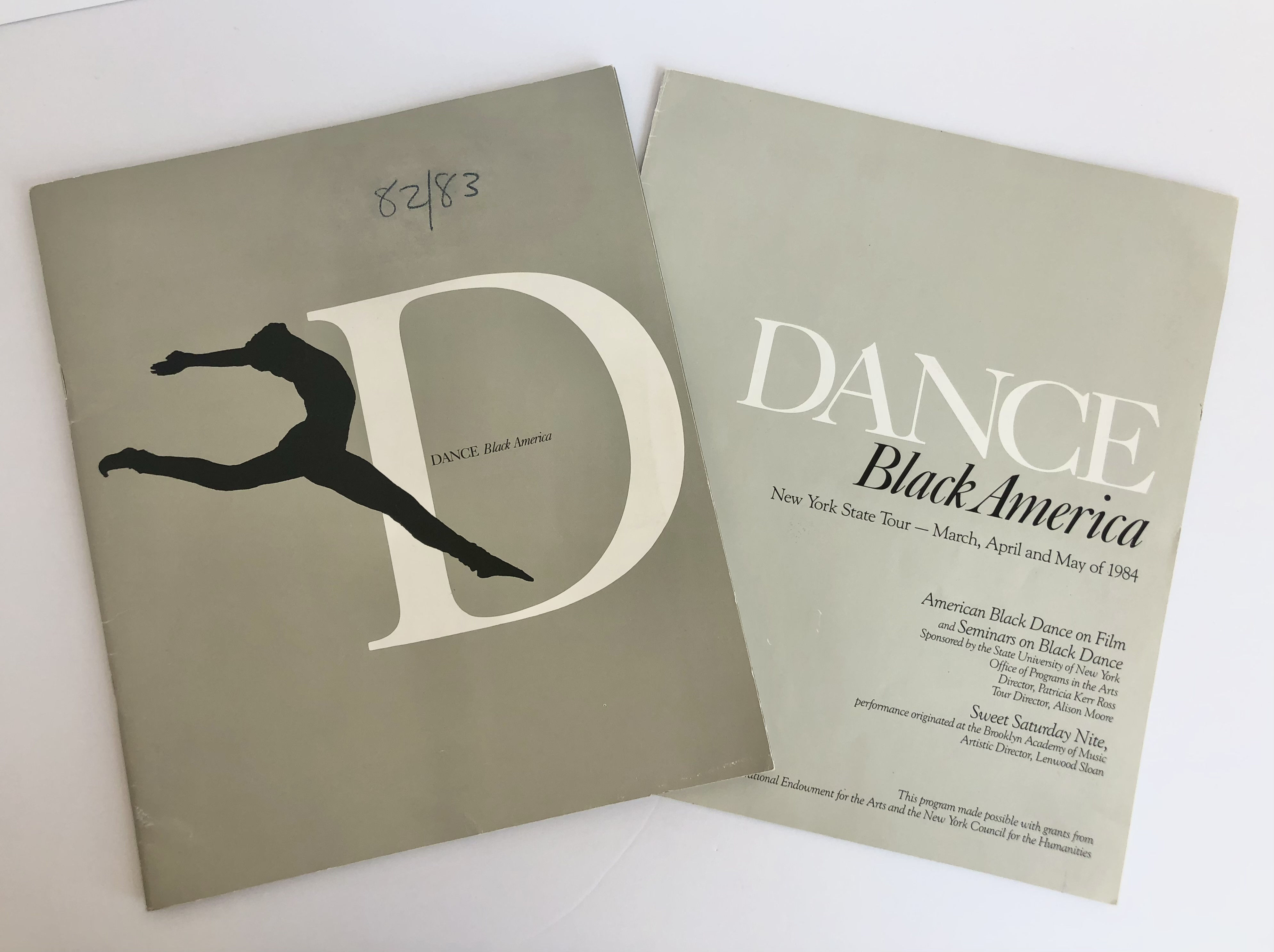 Iconic AFRICAN AMERICAN DANCE FESTIVAL Performance