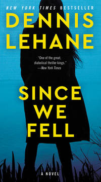 Since We Fell : A Novel