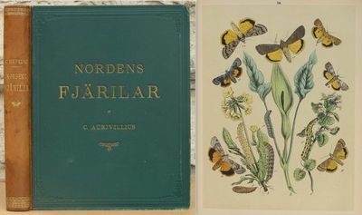 Nordens fjärilar.