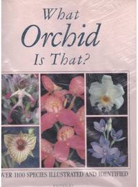 cover of WHAT ORCHID IS THAT?